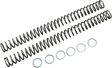 RACE TECH Fork Springs - 0.50 kg/mm FRSP 435150