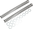 RACE TECH Fork Springs - 0.46 kg/mm FRSP 414646