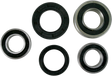 PIVOT WORKS Wheel Bearing Kit - Rear PWRWS-S05-000