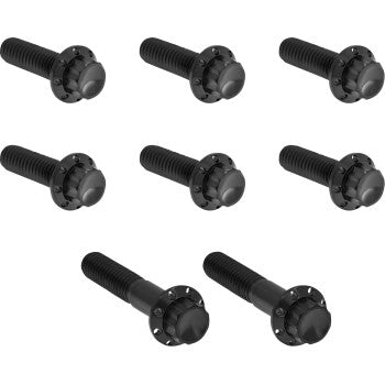 ARLEN NESS Bolt Kit - Trap Door - Titanium - 12-Point - Twin Cam/6-Speed - Black 300-713