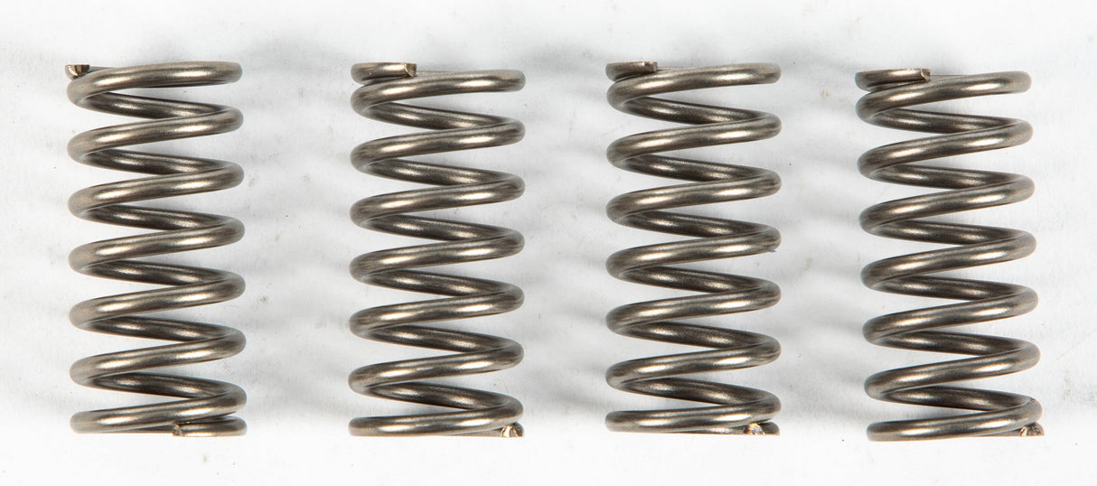 EBC Clutch Springs Csk140 CSK140