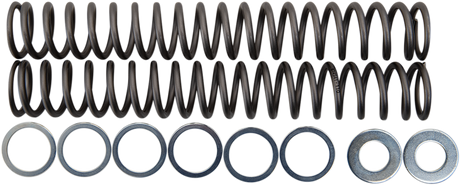 RACE TECH Fork Springs - 1.10 kg/mm FRSP S4430110