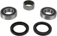 PIVOT WORKS Wheel Bearing Kit - Rear PWRWS-Y16-000