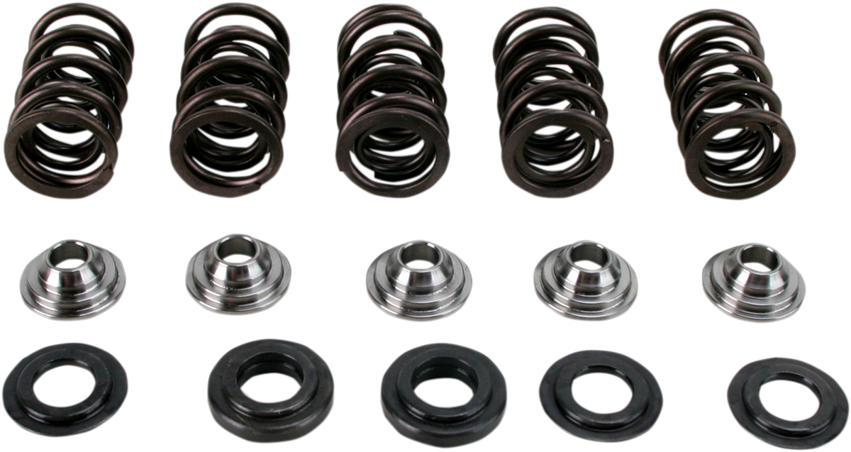 Hot Cams Valve Spring Kit SKYFM660S2