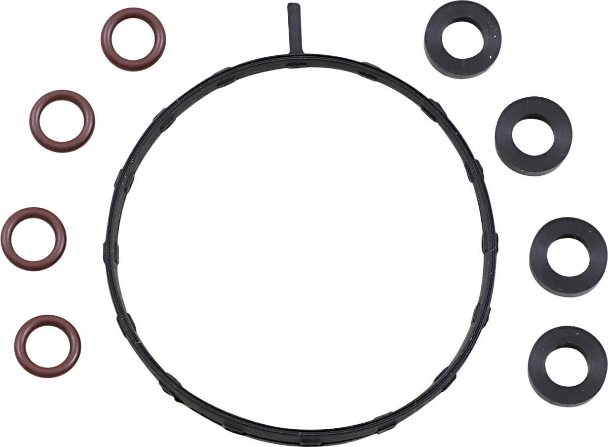 VERTEX Injector O-Ring Kit 625013