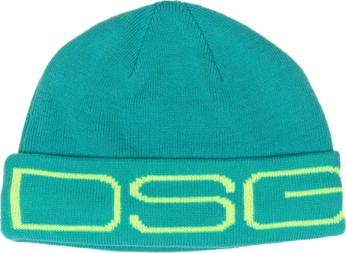 DSG Logo Beanie Mint 527045