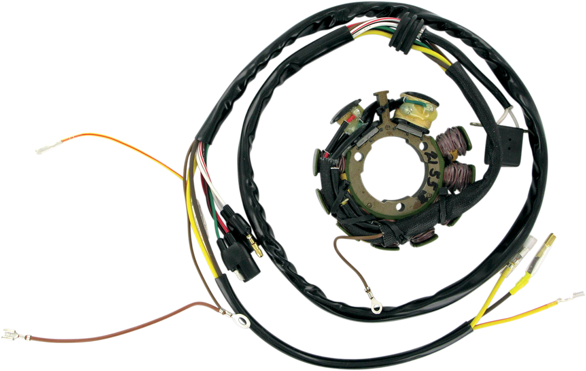 RICK'S MOTORSPORT ELECTRIC Stator 21-553