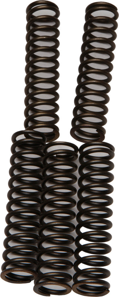 EBC Clutch Springs Csk110 CSK110