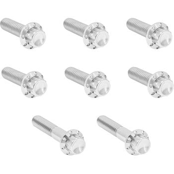 ARLEN NESS Bolt Kit - Trap Door - Titanium - 12-Point - Twin Cam/6-Speed - Polished 300-712