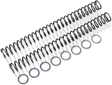 RACE TECH Fork Springs - 0.52 kg/mm FRSP 454752