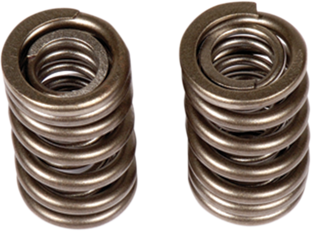 BBR MOTORSPORTS Valve Springs 411-HCF-1504