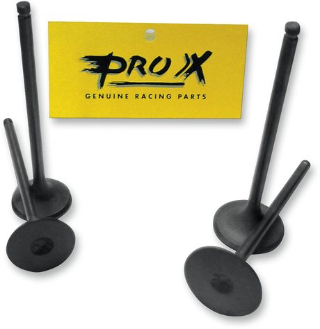 PROX Exhaust Valve 28.1334-1