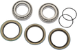 PIVOT WORKS Wheel Bearing Kit - Rear PWRWK-P10-000