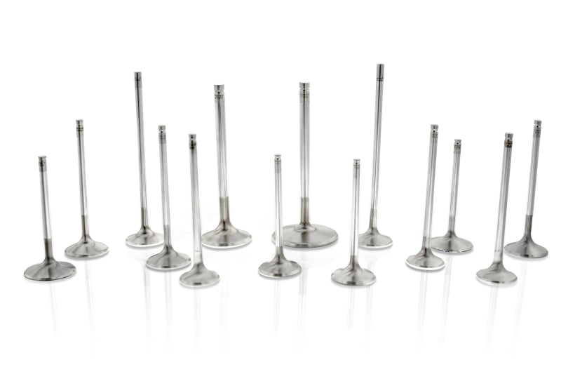 Ferrea Audi/VW BTW 29mm 5.97mm 102mm 24 Deg Flo +1mm Trpl Grv Super Alloy Exhaust Valve - Set of 10 F2178P