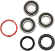 PIVOT WORKS Wheel Bearing Kit - Rear - Honda PWRWK-H09-521