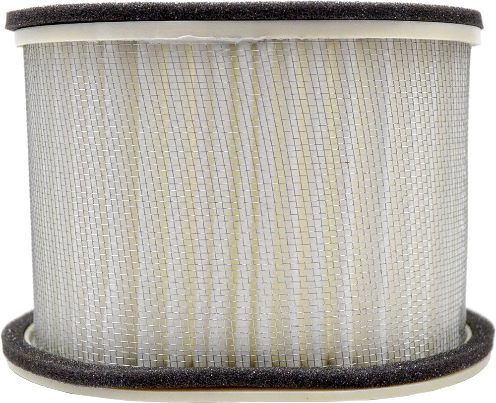 EMGO Air Filter 12-94460