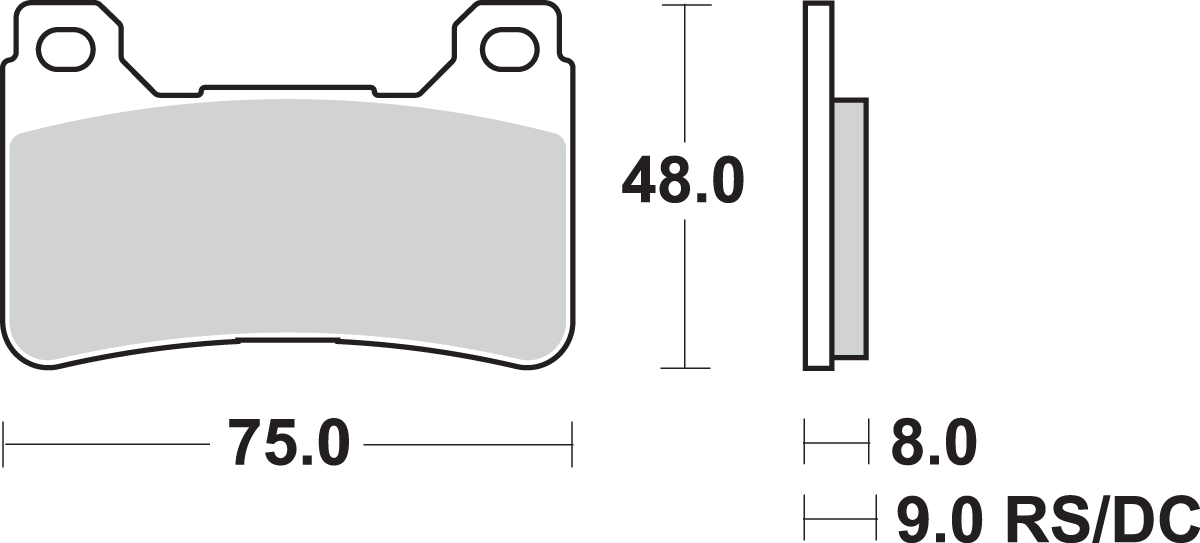 SBS Dual Carbon Brake Pads - CBR 809DC