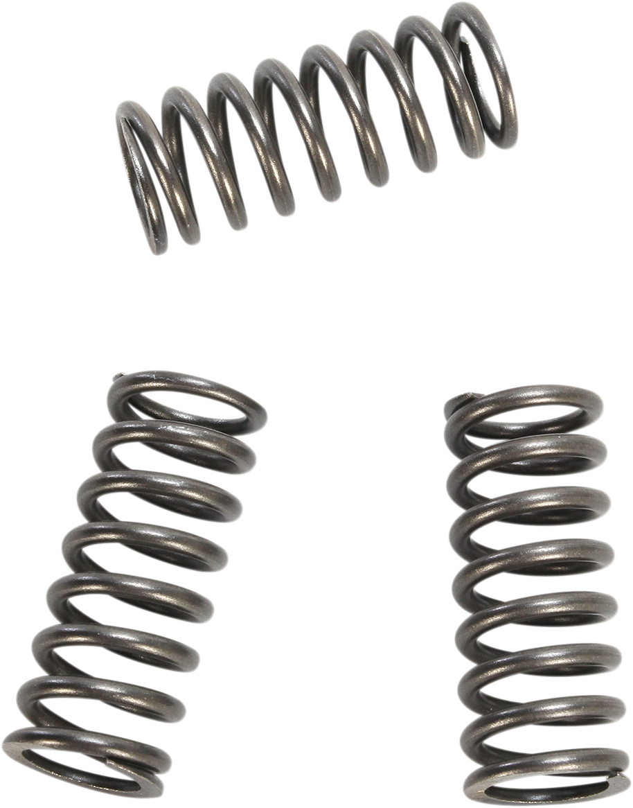 EBC Clutch Springs CSK218