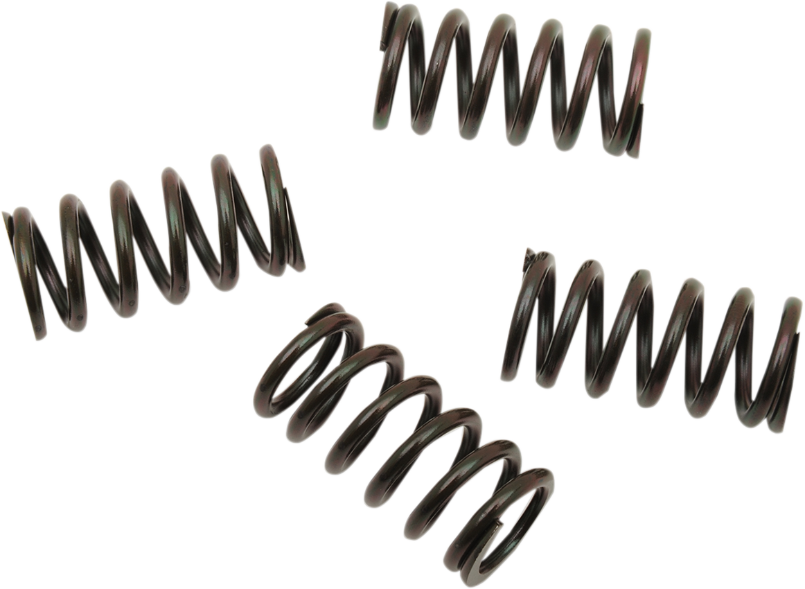 BARNETT Clutch Spring Set 501-85-04120