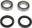 PIVOT WORKS Wheel Bearing Kit - Rear PWRWK-Y09-000