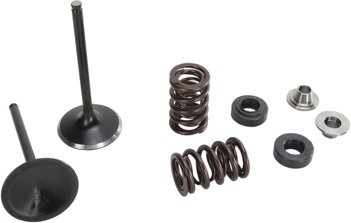 MOOSE RACING Valve and Spring Kit M80-81110