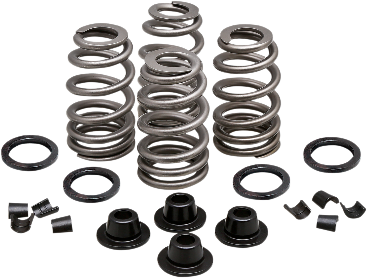 KIBBLEWHITE Spring Kit - .660" - Evolution/Twin Cam 20-21500