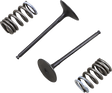 PROX Intake Valve and Spring Kit 28.SIS3338-2