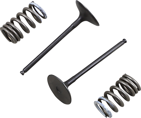 PROX Intake Valve and Spring Kit 28.SIS3338-2