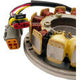 RICK'S MOTORSPORT ELECTRIC OE Style Stator - Ski-Doo 24-113