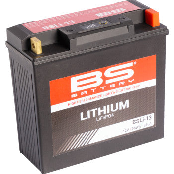 BS BATTERY Lithium Battery - BSLI-13  360113