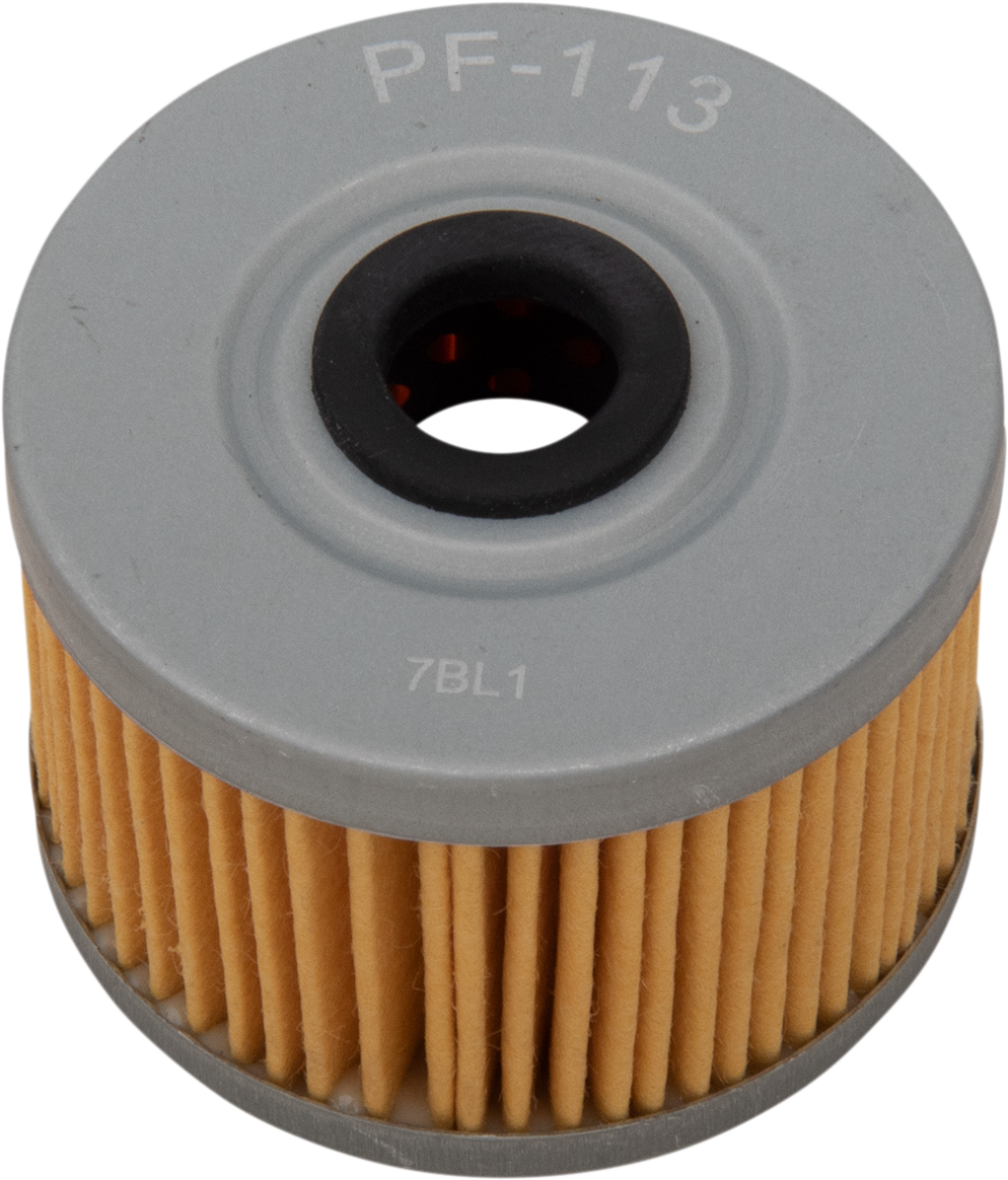 PRO FILTER Replacement Oil Filter PF-113