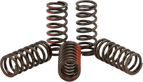 PRO CIRCUIT Clutch Springs CST09250