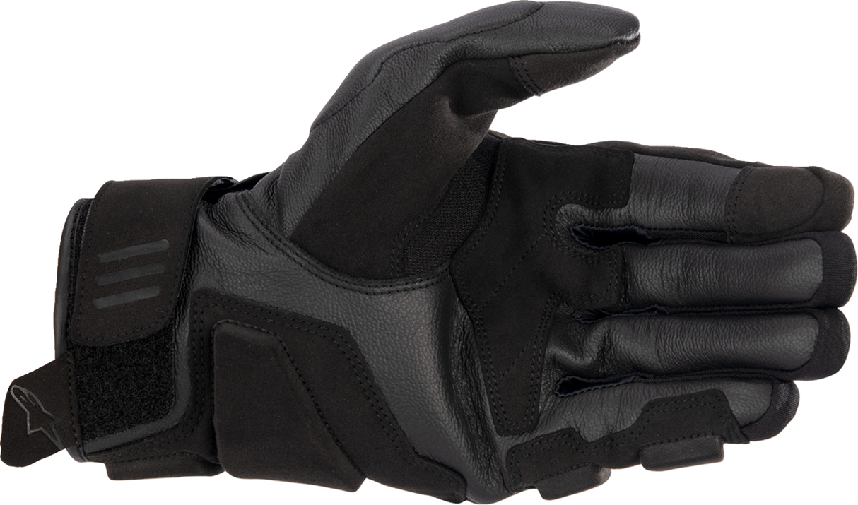 ALPINESTARS Phenom Gloves - Black/White - Small 3501723-12-S