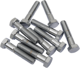 DRAG SPECIALTIES Bolts - Hex-Head - Chrome - 3/8"-16 x 2" MPB136