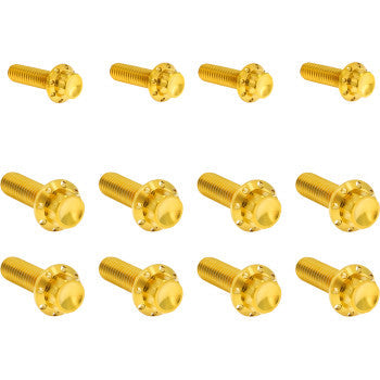 ARLEN NESS Bolt Kit - Transmission Side Cover/Trap Door - 12-Point - Titanium - Gold 300-955