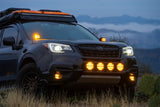 Rigid Industries 360-Series 6in SAE Fog w/ Amber PRO Lens - White (Pair) 36210