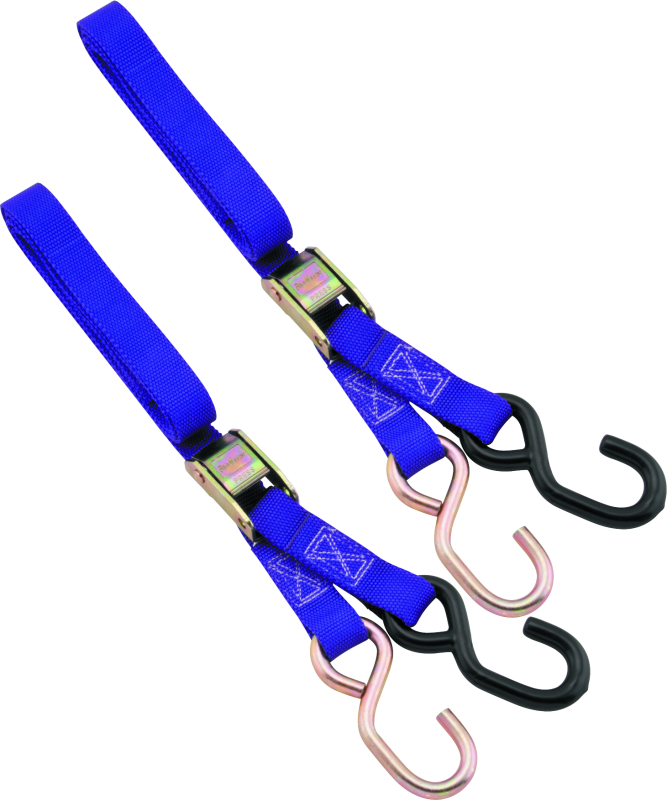 BikeMaster 1in Tiedown - Purple 100512