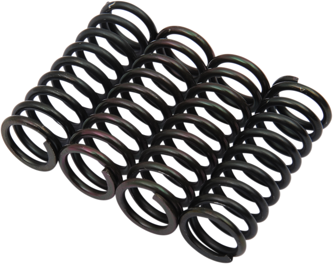 BARNETT Clutch Springs 501-61-04079