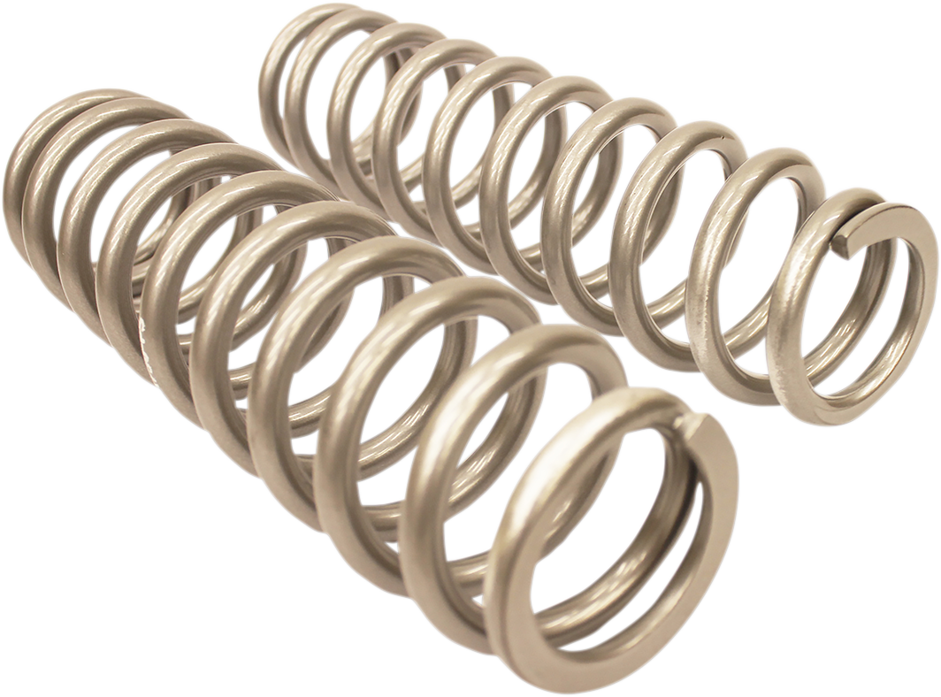 HIGH LIFTER Rear Shock Springs - Silver 79-13843