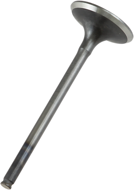 PROX Exhaust Valve 28.1407-1