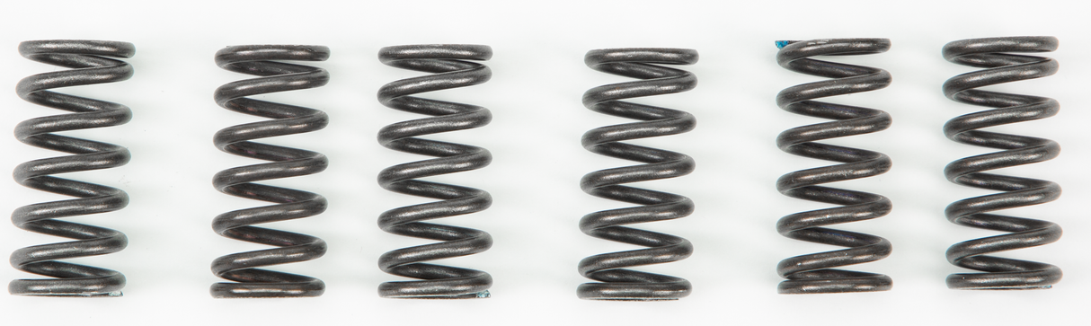 EBC Clutch Springs Csk2 CSK2