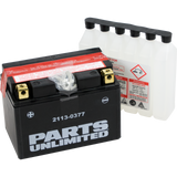 Parts Unlimited Agm Battery - Ytz14s-Bs Ctz14s-Bs