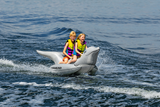 AIRHEAD SPORTS GROUP Dolphin Riding Tube - Towable AHHD-3056