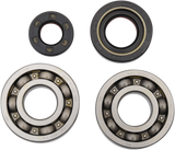 Hot Rods Crank Bearings K012