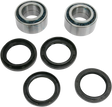 PIVOT WORKS Wheel Bearing Kit - Rear - Arctic Cat PWRWK-A01-003