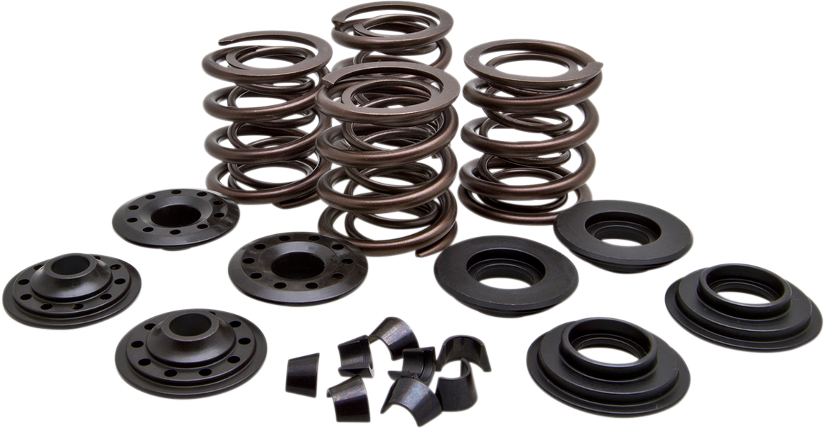 KIBBLEWHITE Valve Spring Kit 20-20450