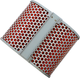 HIFLOFILTRO Air Filter - Honda HFA1703