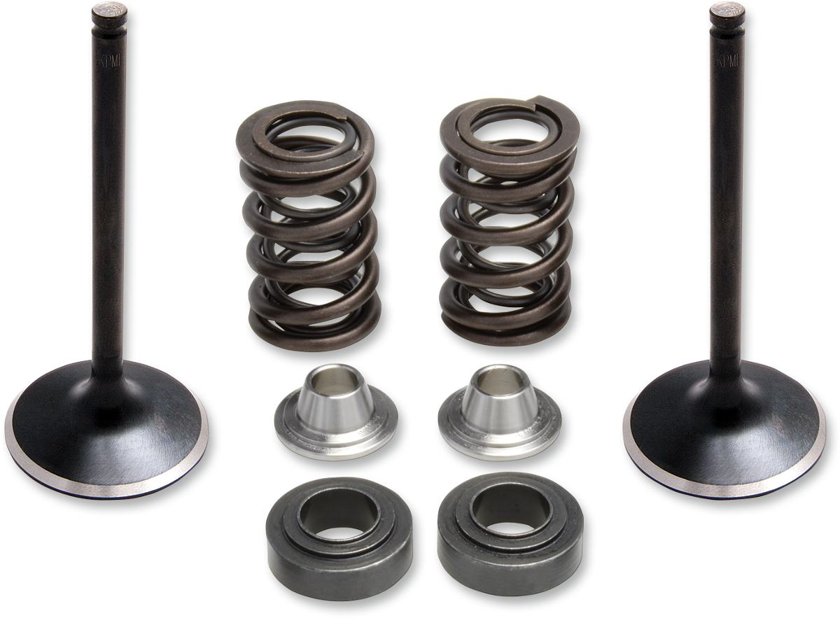 KIBBLEWHITE Valve Spring Kit 80-81100