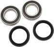 PIVOT WORKS Wheel Bearing Kit - Rear PWRWK-Y32-000