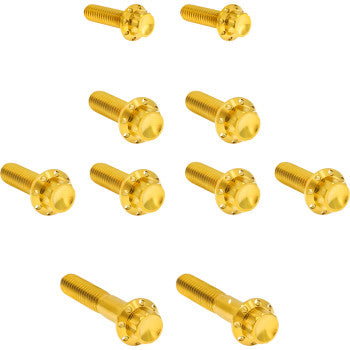 ARLEN NESS Bolt Kit - Transmission Side Cover/Trap Door - 12-Point - Titanium - Gold 300-985